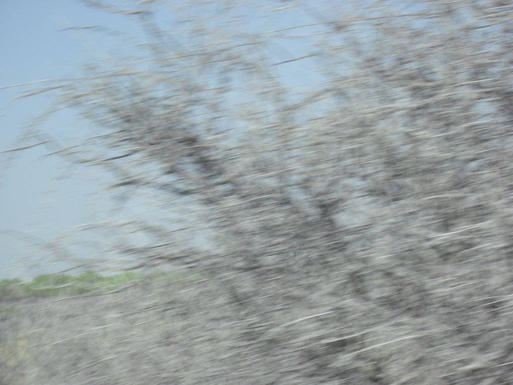 Image CIMG7711.JPG