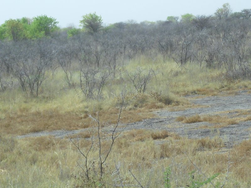 Image CIMG7720.JPG