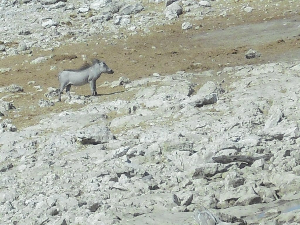 Image CIMG7723.JPG