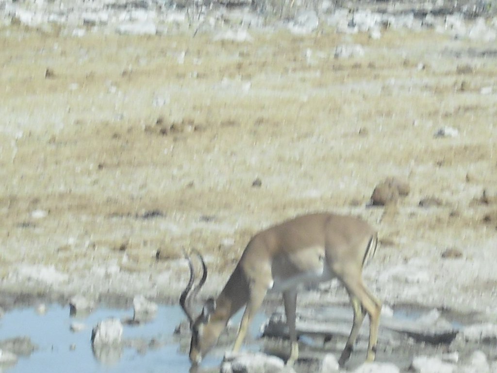 Image CIMG7731.JPG