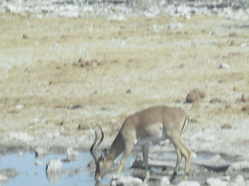 Image CIMG7731.JPG