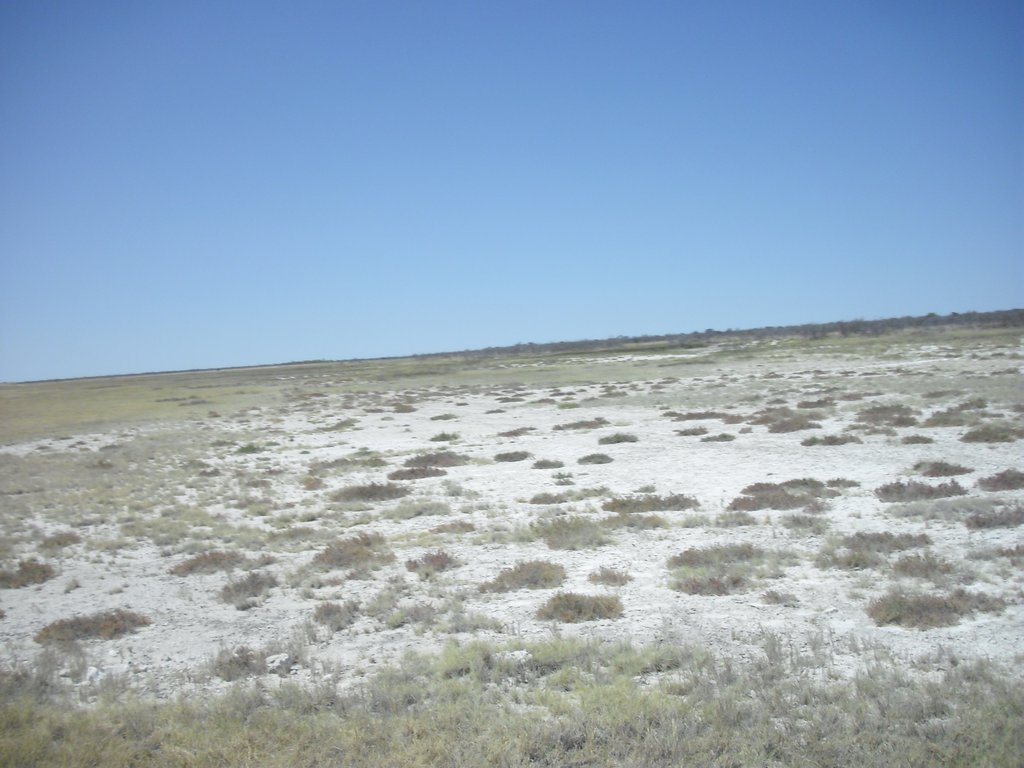 Image CIMG7740.JPG