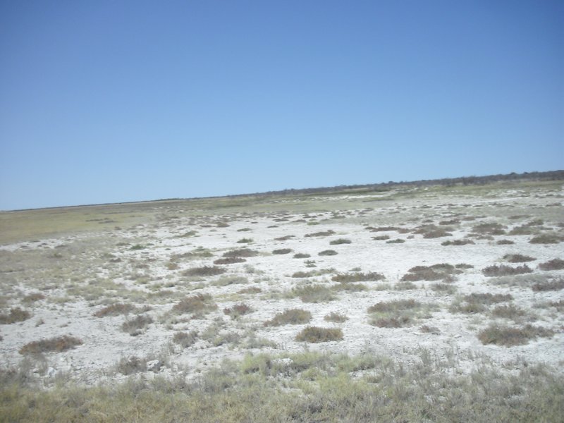 Image CIMG7740.JPG