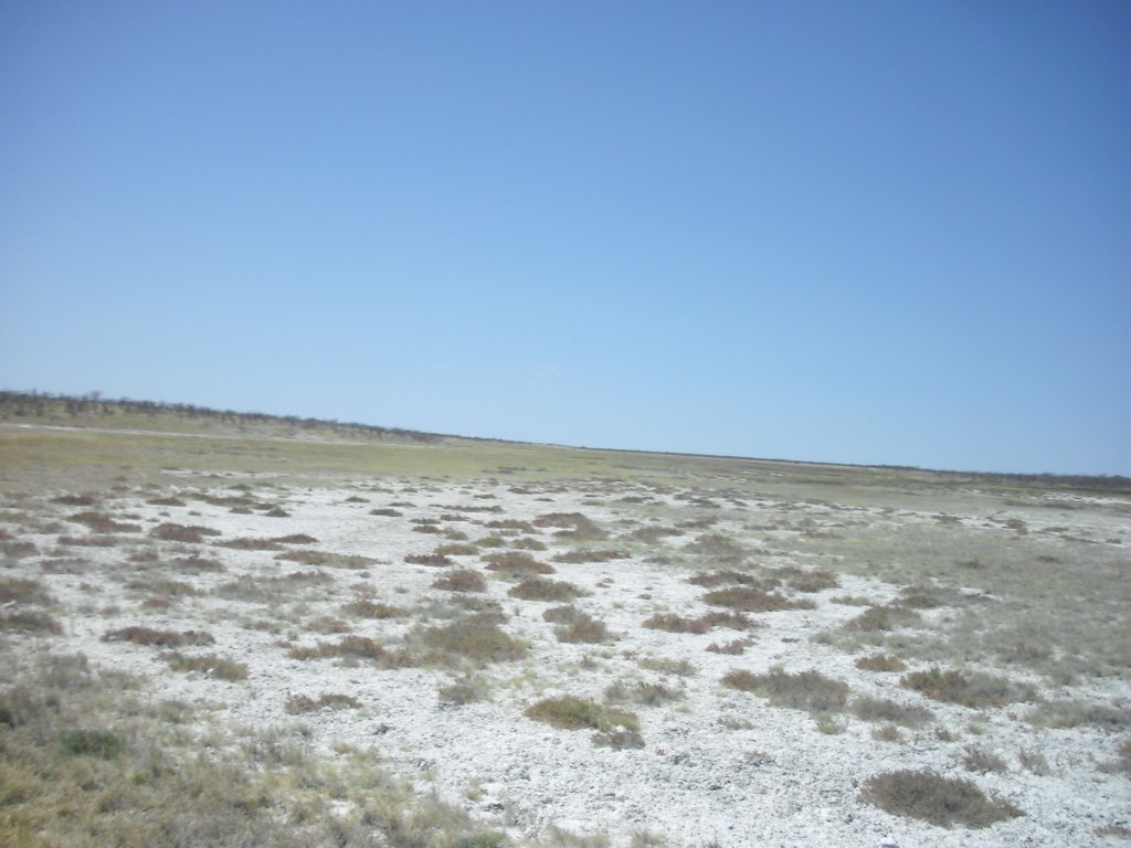 Image CIMG7741.JPG