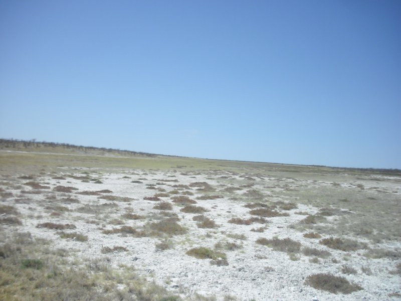 Image CIMG7741.JPG