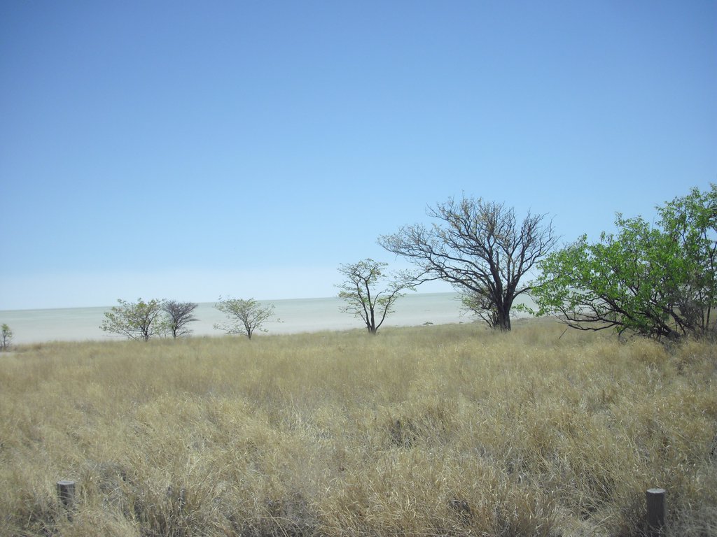 Image CIMG7742.JPG