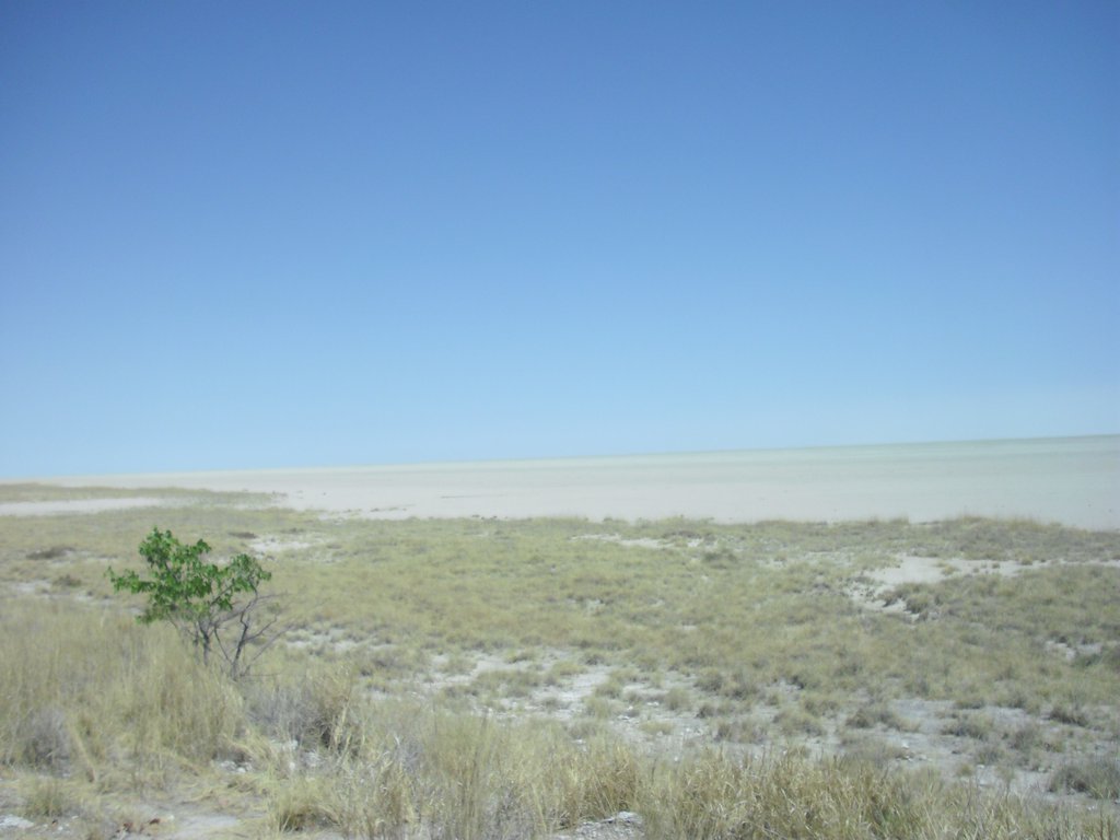 Image CIMG7743.JPG