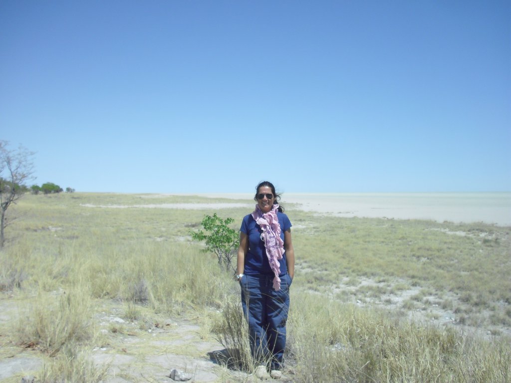 Image CIMG7744.JPG