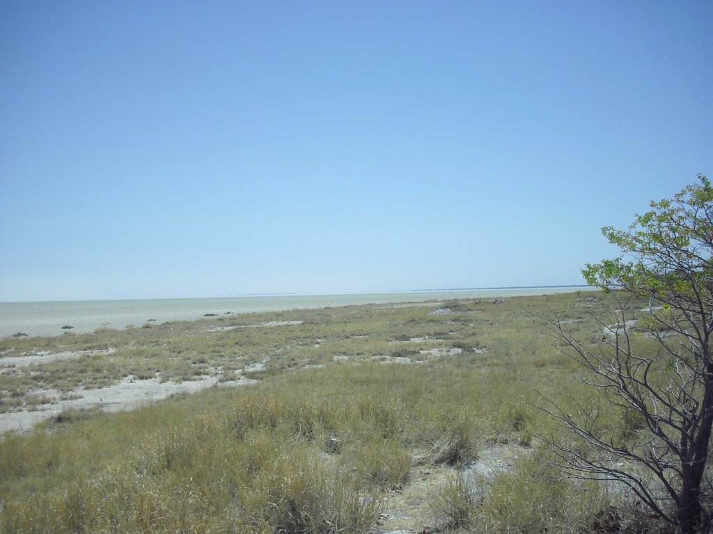 Image CIMG7745.JPG