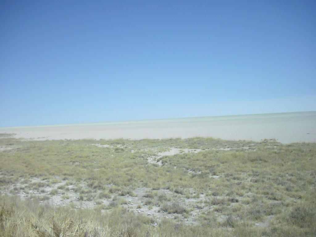 Image CIMG7746.JPG