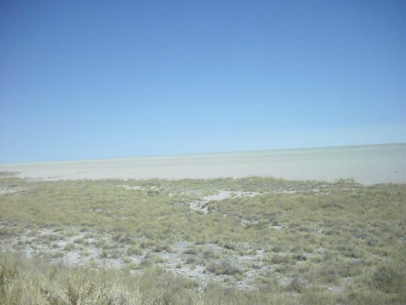 Image CIMG7746.JPG