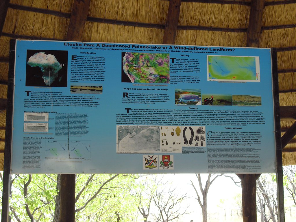 Image CIMG7748.JPG