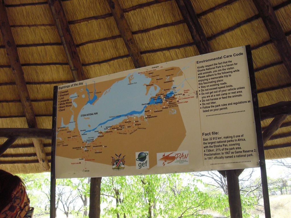 Image CIMG7749.JPG