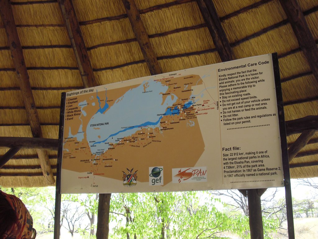 Image CIMG7750.JPG