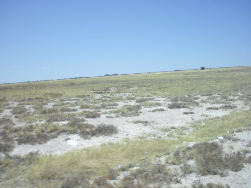 Image CIMG7751.JPG