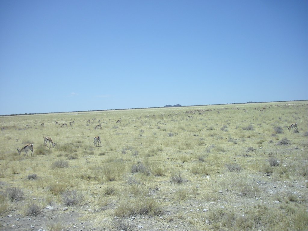 Image CIMG7752.JPG