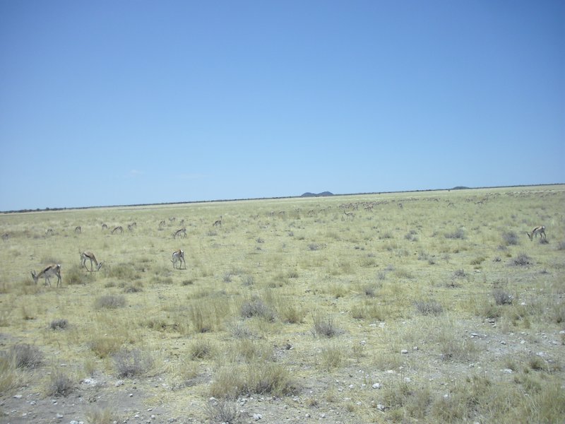 Image CIMG7752.JPG