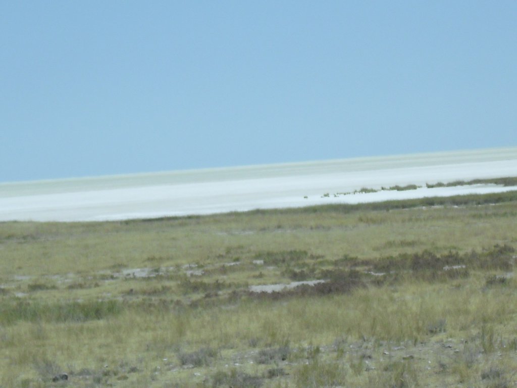 Image CIMG7754.JPG