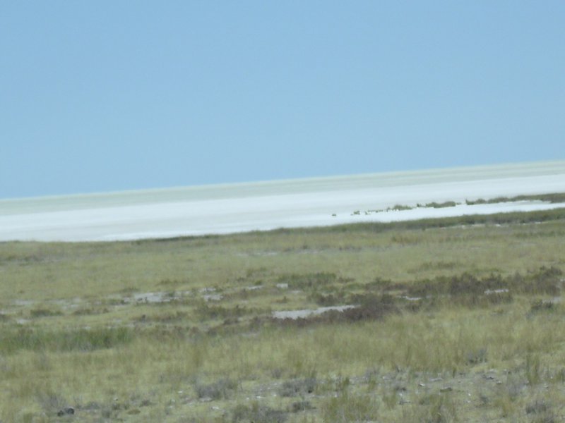 Image CIMG7754.JPG