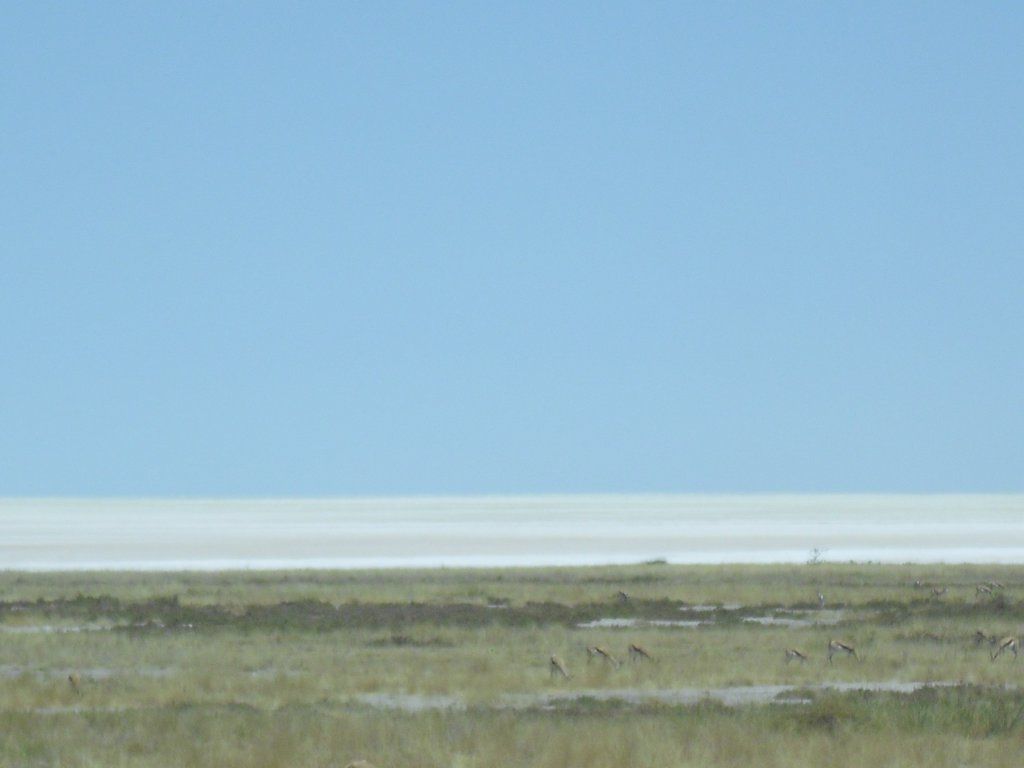 Image CIMG7755.JPG