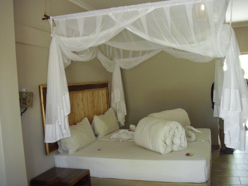 Image CIMG7757.JPG