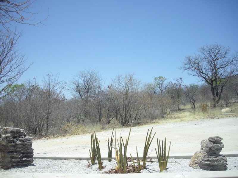 Image CIMG7759.JPG