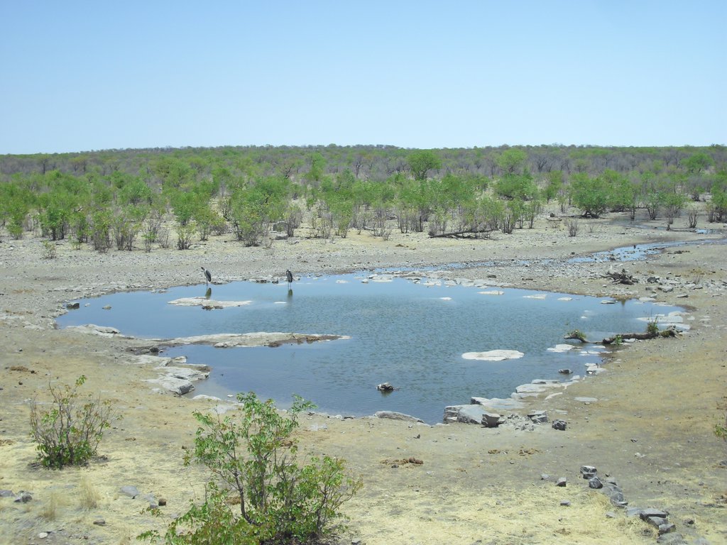 Image CIMG7762.JPG