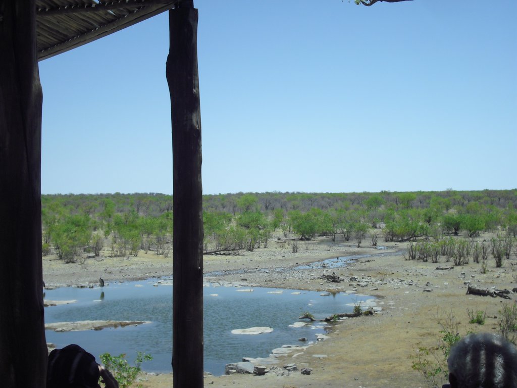 Image CIMG7763.JPG