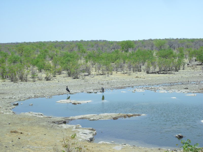 Image CIMG7766.JPG