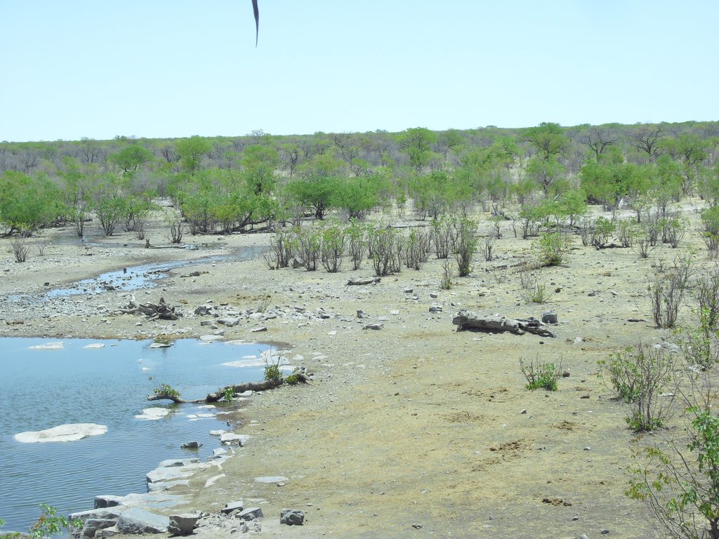 Image CIMG7767.JPG
