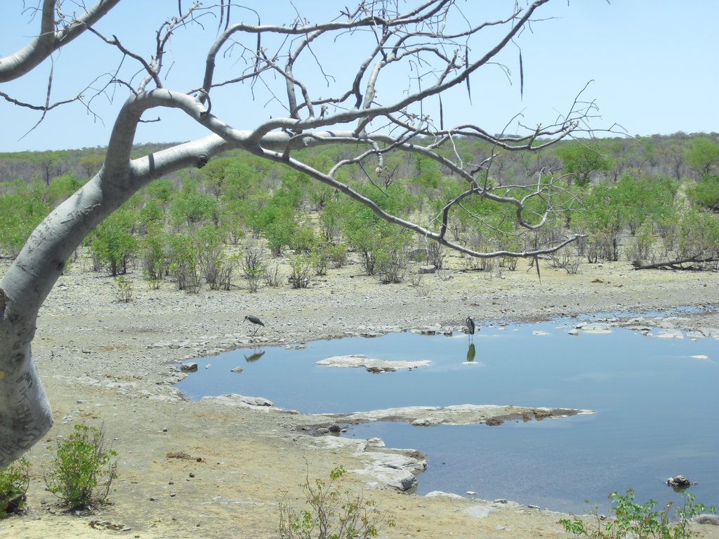 Image CIMG7770.JPG