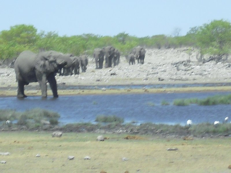 Image CIMG7773.JPG