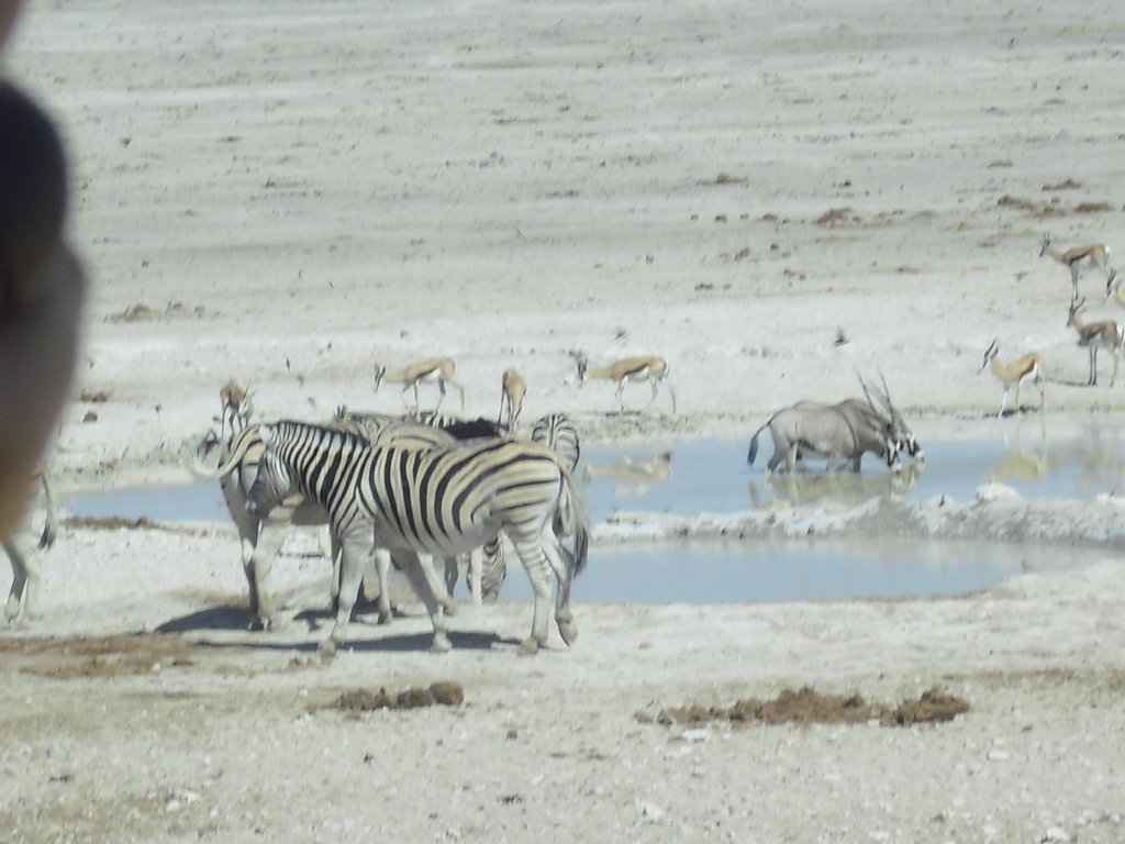 Image CIMG7789.JPG