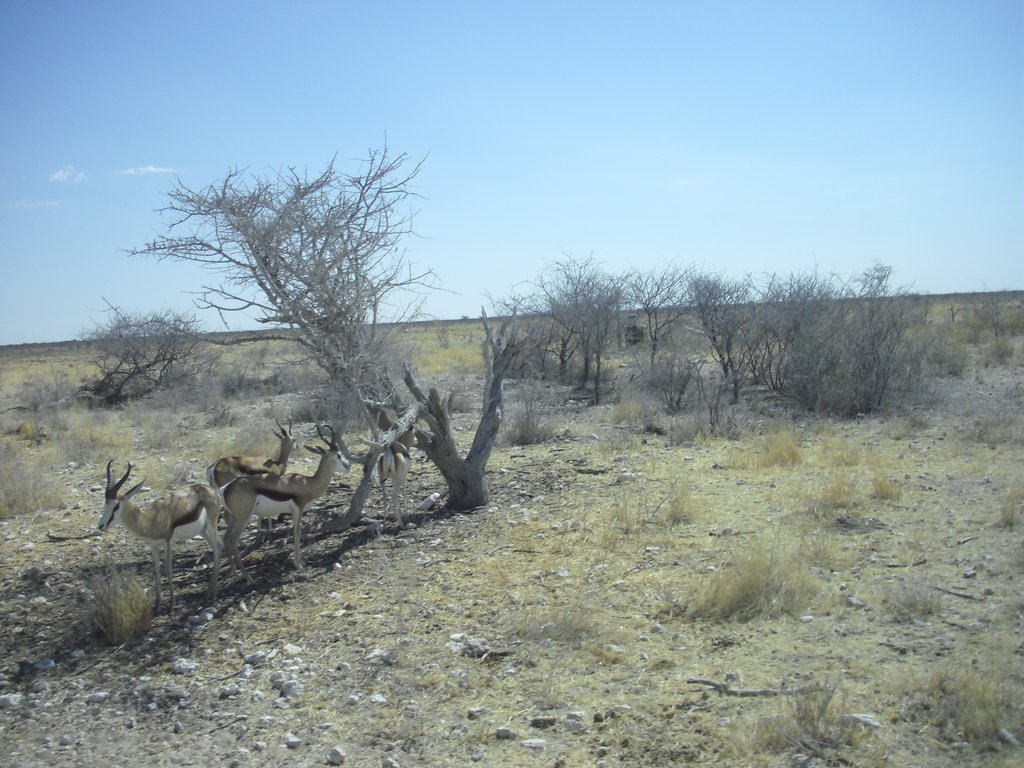 Image CIMG7805.JPG