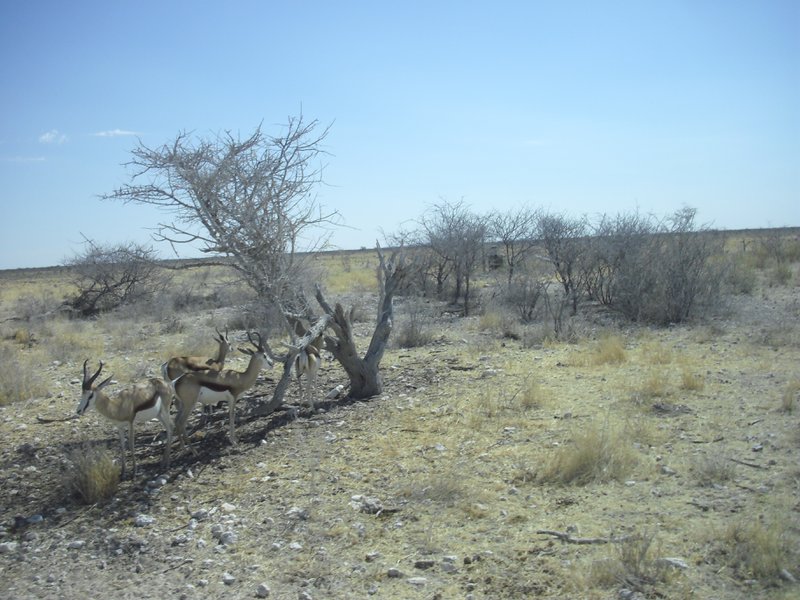 Image CIMG7805.JPG