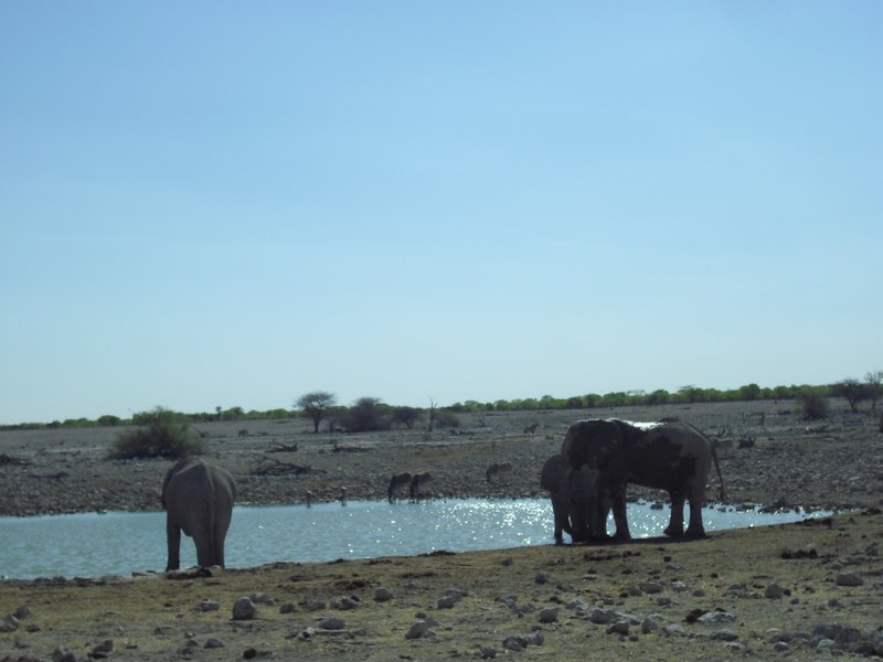 Image CIMG7815.JPG