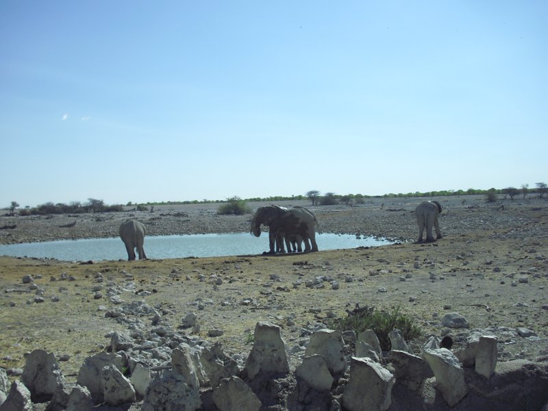 Image CIMG7817.JPG