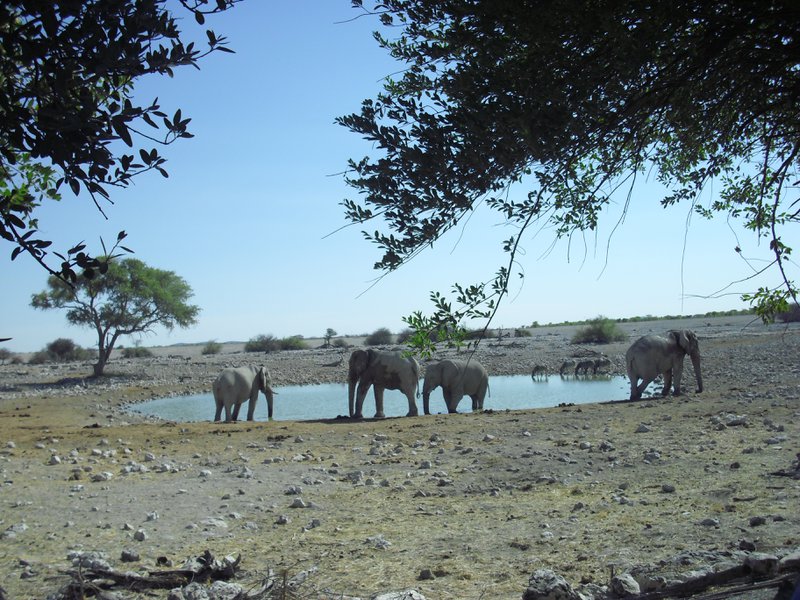Image CIMG7818.JPG