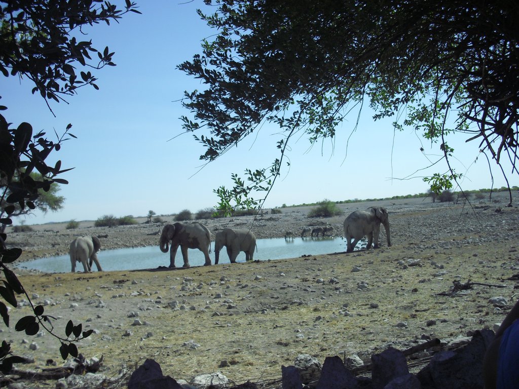 Image CIMG7819.JPG