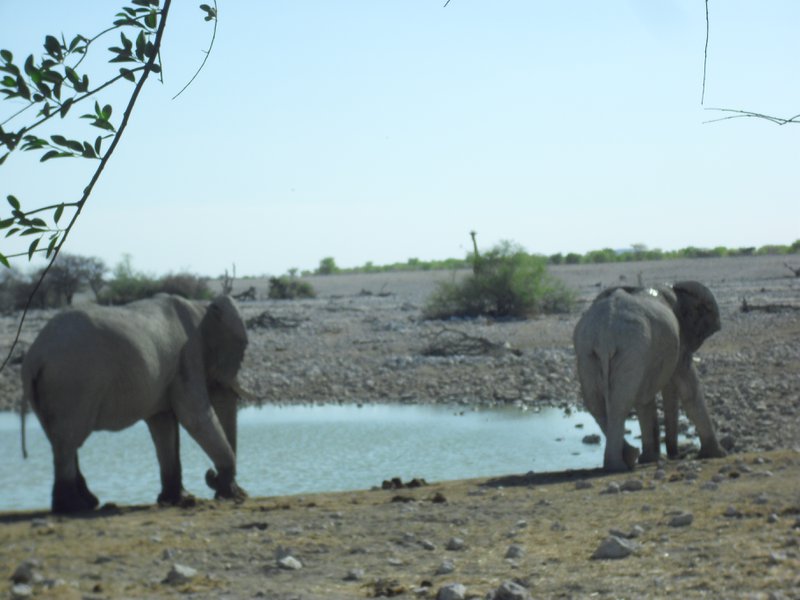 Image CIMG7826.JPG