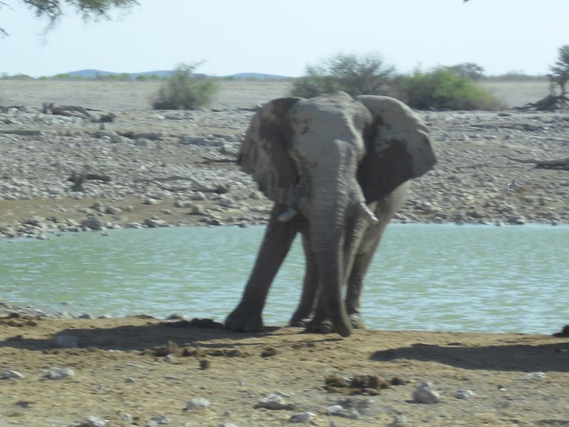 Image CIMG7828.JPG
