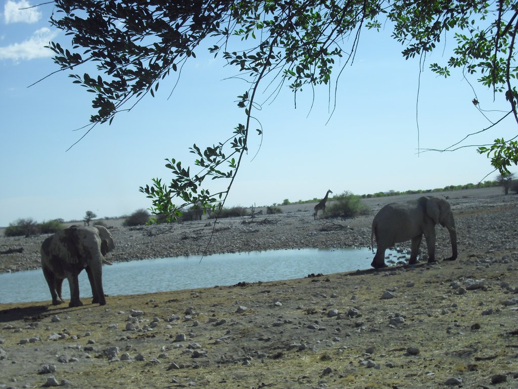 Image CIMG7829.JPG