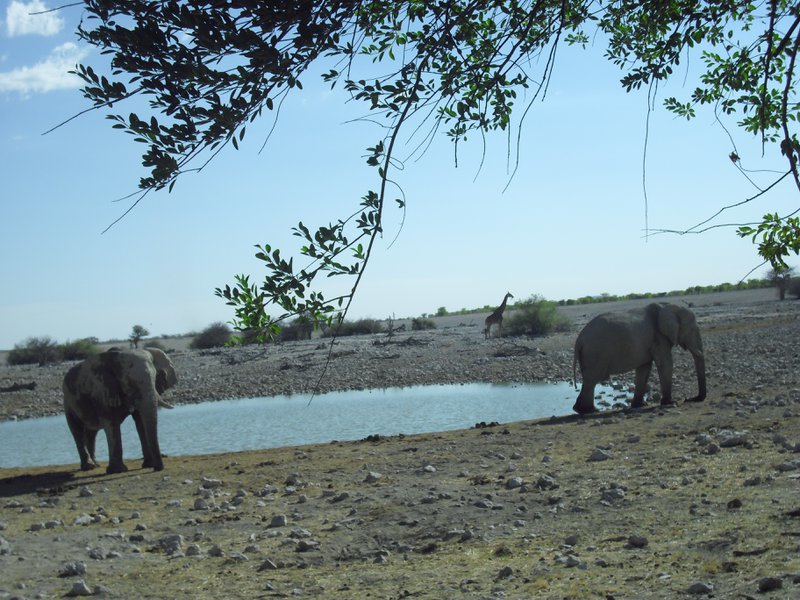 Image CIMG7829.JPG