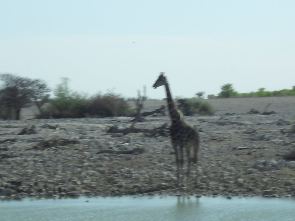 Image CIMG7830.JPG
