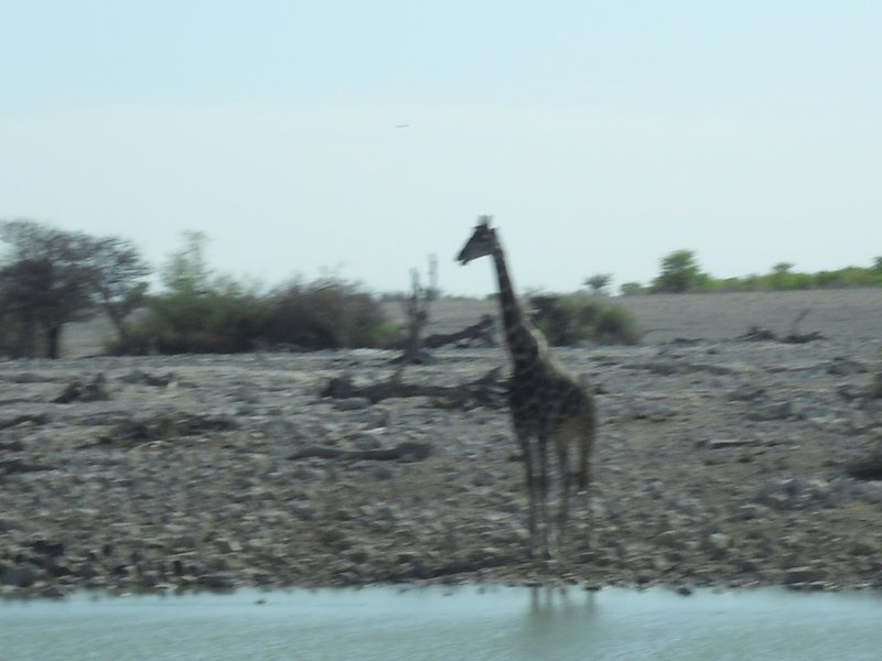 Image CIMG7830.JPG