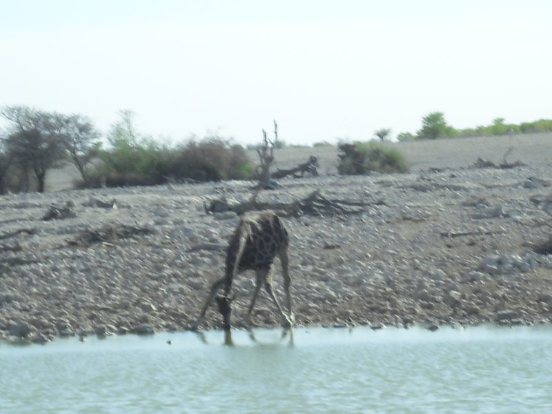 Image CIMG7831.JPG