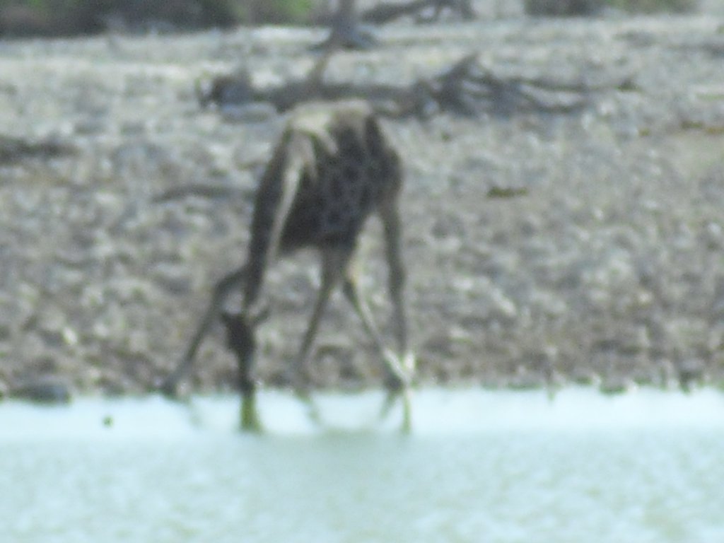 Image CIMG7832.JPG