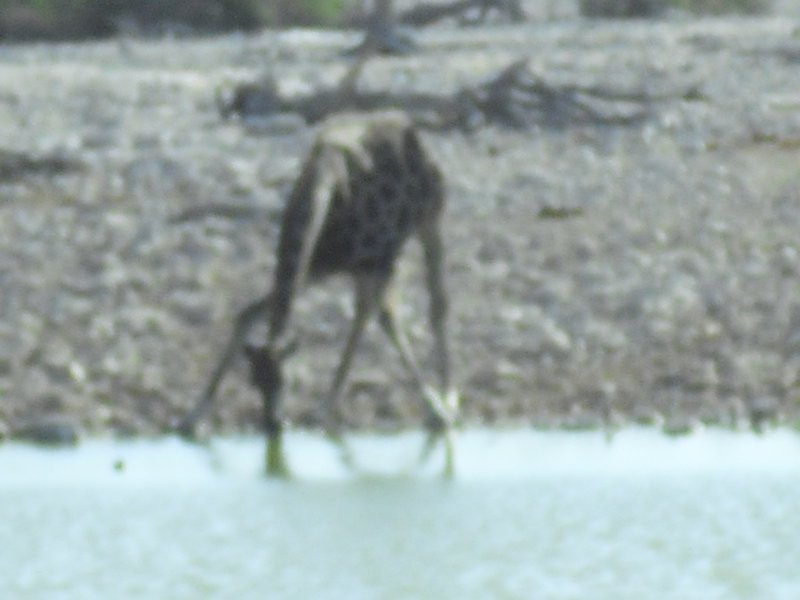 Image CIMG7832.JPG