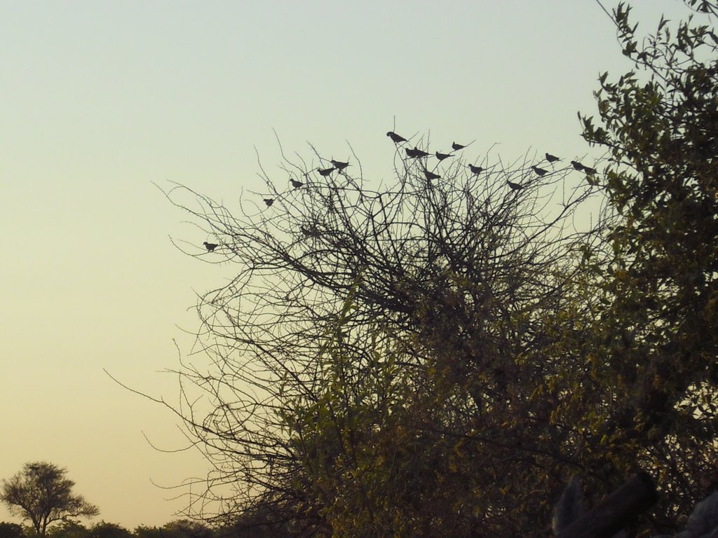 Image CIMG7836.JPG