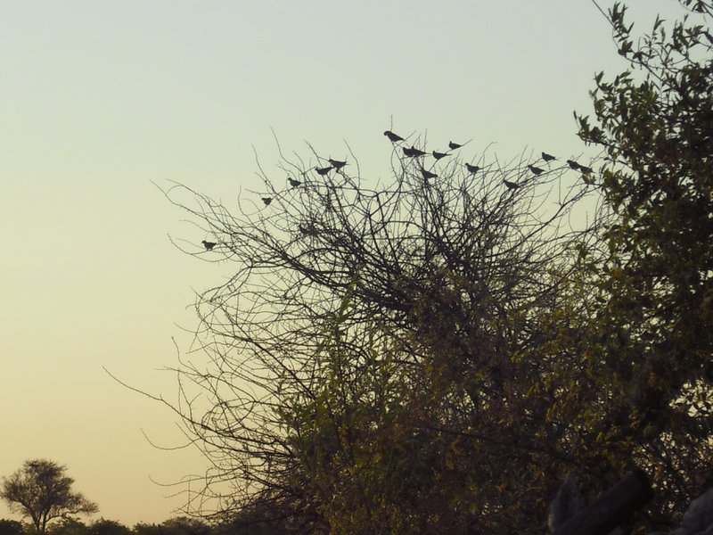 Image CIMG7836.JPG